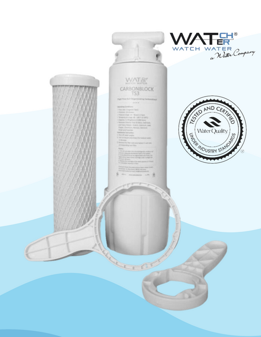Titan Guard™ Point-of-Use Filter with Extra Filter